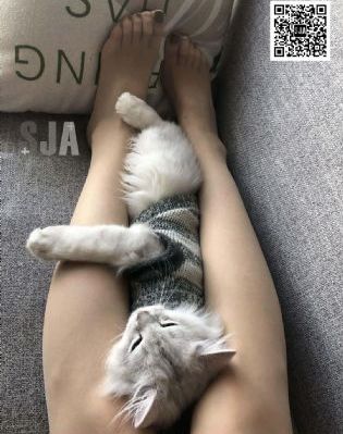 夜夜叫春的女人_HD神马影院在线